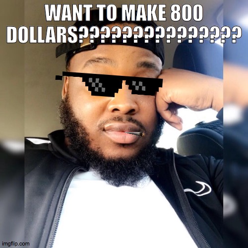 WANT TO MAKE 800 DOLLARS??????????????? | image tagged in wow | made w/ Imgflip meme maker