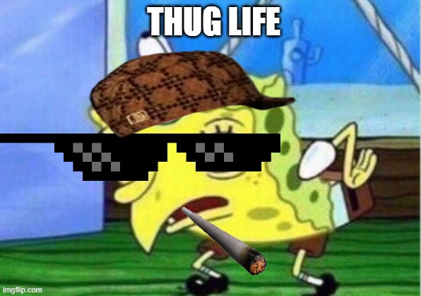 Mocking Spongebob Meme | THUG LIFE | image tagged in memes,mocking spongebob | made w/ Imgflip meme maker