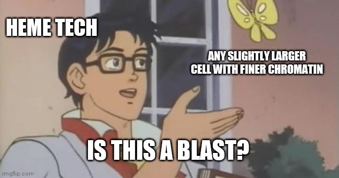 Is This a Pigeon | HEME TECH; ANY SLIGHTLY LARGER CELL WITH FINER CHROMATIN; IS THIS A BLAST? | image tagged in is this a pigeon | made w/ Imgflip meme maker