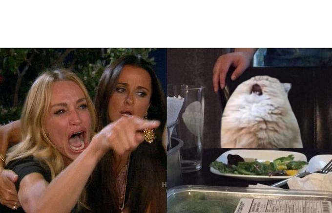 Women yelling at different cat Blank Meme Template