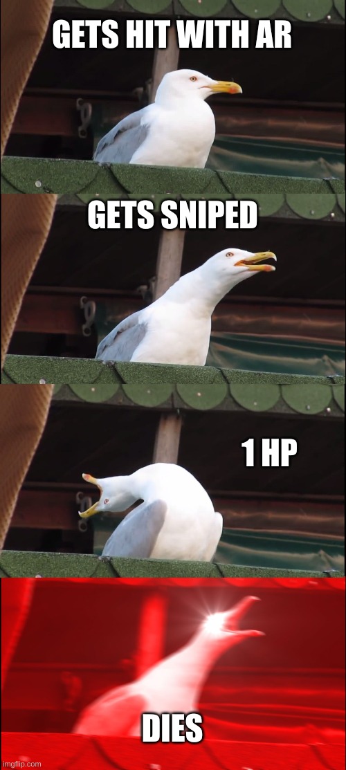 Inhaling Seagull | GETS HIT WITH AR; GETS SNIPED; 1 HP; DIES | image tagged in memes,inhaling seagull | made w/ Imgflip meme maker