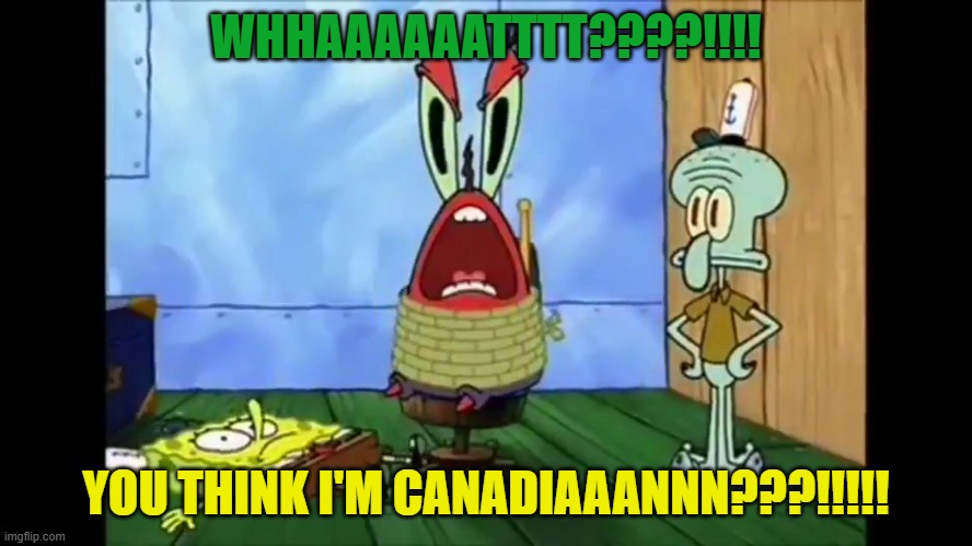 WHHAAAAAATTTT????!!!! YOU THINK I'M CANADIAAANNN???!!!!! | made w/ Imgflip meme maker
