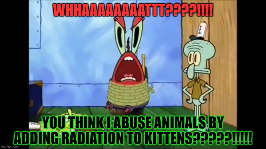 WHHAAAAAAAATTT????!!!! YOU THINK I ABUSE ANIMALS BY ADDING RADIATION TO KITTENS?????!!!!! | made w/ Imgflip meme maker