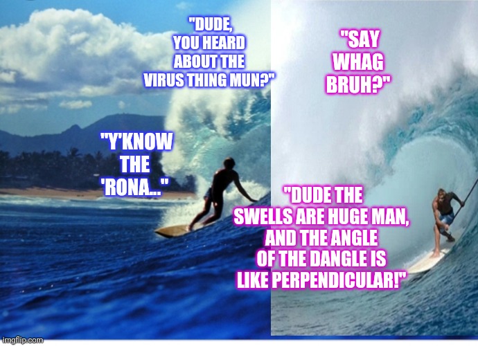 SURFING IS NATURE | "SAY WHAG BRUH?"; "DUDE, YOU HEARD ABOUT THE VIRUS THING MUN?"; "Y'KNOW THE 'RONA..."; "DUDE THE SWELLS ARE HUGE MAN, AND THE ANGLE OF THE DANGLE IS LIKE PERPENDICULAR!" | image tagged in ride the wild surf no time for virus | made w/ Imgflip meme maker