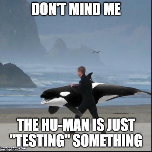 DON'T MIND ME; THE HU-MAN IS JUST "TESTING" SOMETHING | made w/ Imgflip meme maker
