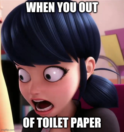 Oh No... | WHEN YOU OUT; OF TOILET PAPER | image tagged in miraculous lb marinette,toilet paper | made w/ Imgflip meme maker