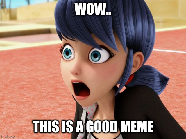 Miraculous Marinette Scared | WOW.. THIS IS A GOOD MEME | image tagged in miraculous marinette scared | made w/ Imgflip meme maker