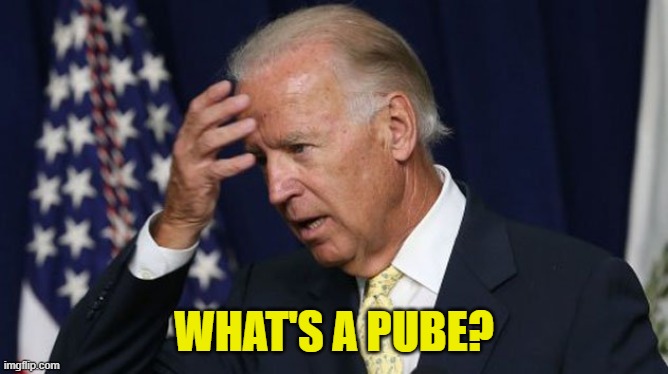 Joe Biden worries | WHAT'S A PUBE? | image tagged in joe biden worries | made w/ Imgflip meme maker