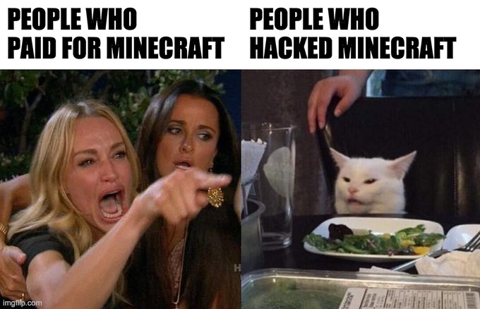 Woman Yelling At Cat | PEOPLE WHO PAID FOR MINECRAFT; PEOPLE WHO HACKED MINECRAFT | image tagged in memes,woman yelling at cat | made w/ Imgflip meme maker