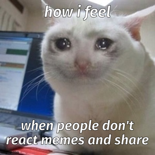 Crying cat | how i feel; when people don't react memes and share | image tagged in crying cat | made w/ Imgflip meme maker