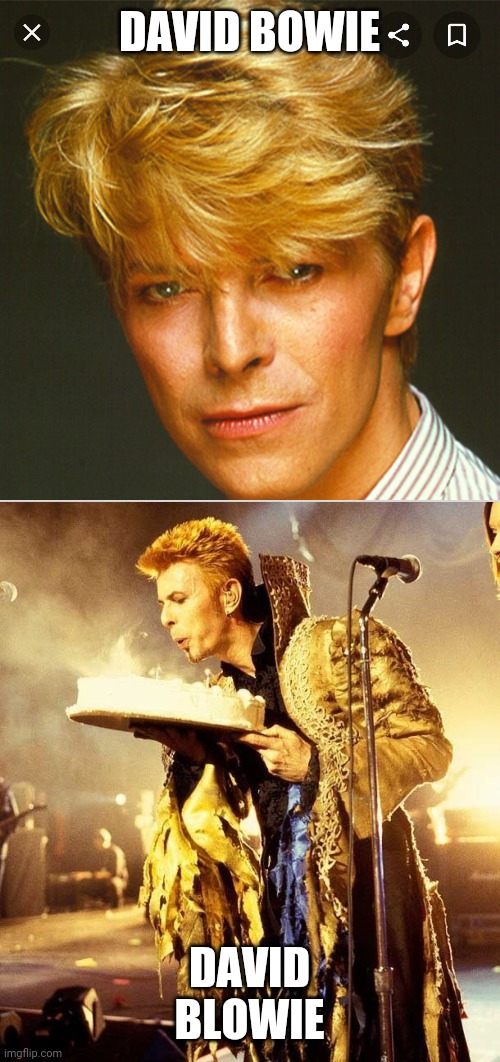 David Blowie | DAVID BOWIE; DAVID BLOWIE | image tagged in david bowie | made w/ Imgflip meme maker