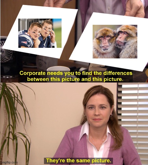 They're The Same Picture | image tagged in memes,they're the same picture | made w/ Imgflip meme maker