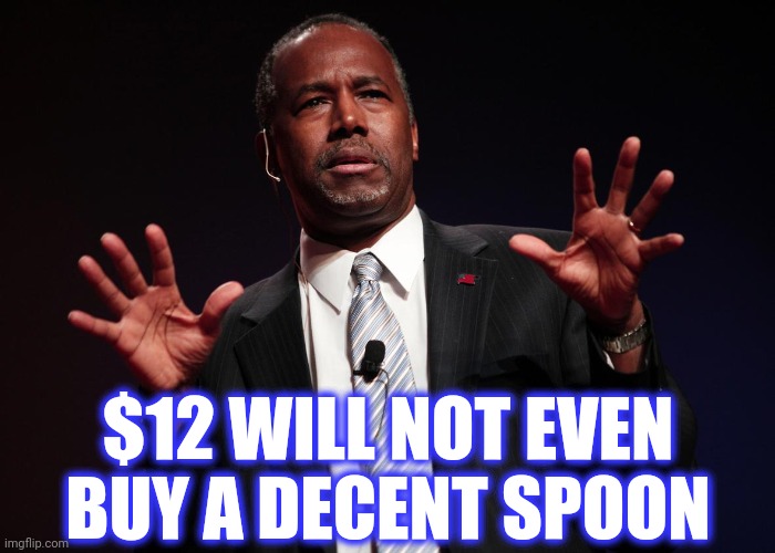 Ben Carson | $12 WILL NOT EVEN BUY A DECENT SPOON | image tagged in ben carson | made w/ Imgflip meme maker