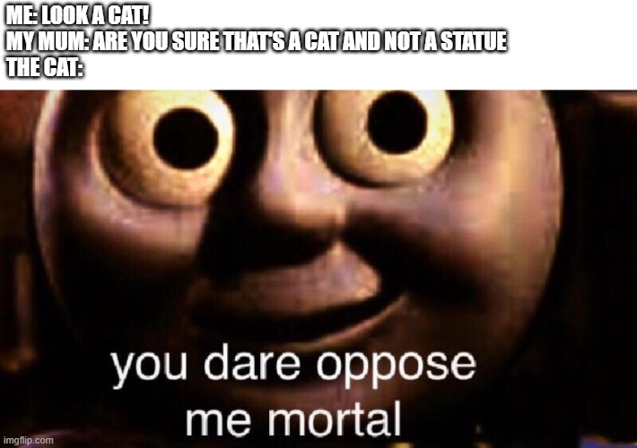 You dare oppose me mortal | ME: LOOK A CAT!
MY MUM: ARE YOU SURE THAT'S A CAT AND NOT A STATUE
THE CAT: | image tagged in you dare oppose me mortal,cat,statue | made w/ Imgflip meme maker