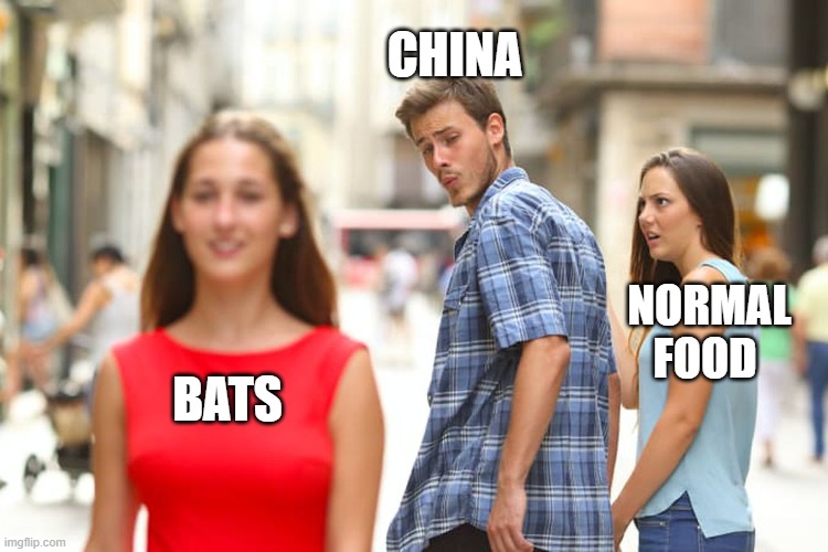 Distracted Boyfriend | CHINA; NORMAL FOOD; BATS | image tagged in memes,distracted boyfriend | made w/ Imgflip meme maker