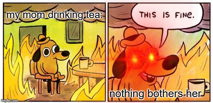 my mom drinking tea:; nothing bothers her | image tagged in memes | made w/ Imgflip meme maker