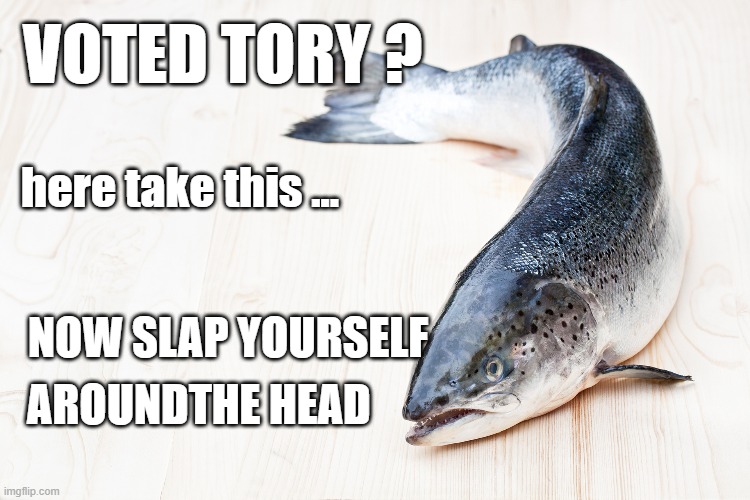 Salmon of Regret | VOTED TORY ? here take this ... NOW SLAP YOURSELF; AROUNDTHE HEAD | image tagged in salmon of regret,the wicker man,monty python | made w/ Imgflip meme maker