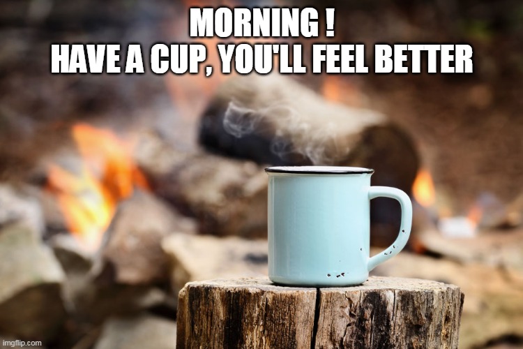Morning | MORNING !
HAVE A CUP, YOU'LL FEEL BETTER | image tagged in coffee in the morning | made w/ Imgflip meme maker
