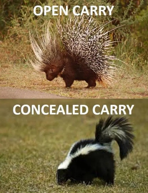 Open Carry vs. Concealed Carry | image tagged in open carry,concealed carry,2nd amendment,second amendment,stuff it liberals,freedom in murica | made w/ Imgflip meme maker