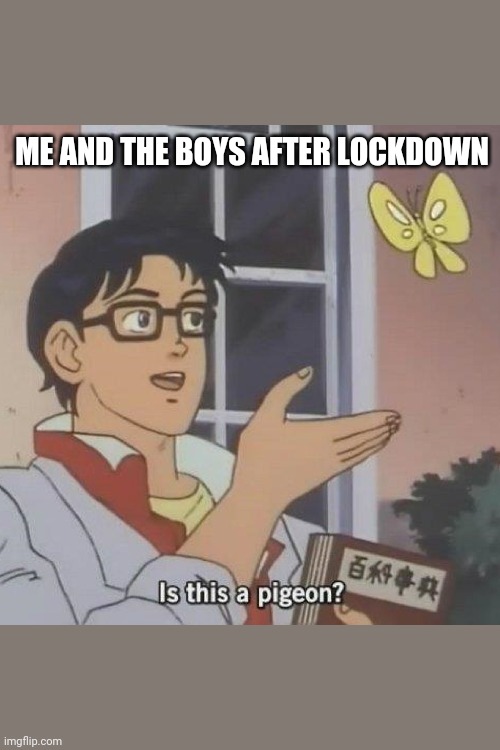 is this a pigeon? | ME AND THE BOYS AFTER LOCKDOWN | image tagged in is this a pigeon | made w/ Imgflip meme maker