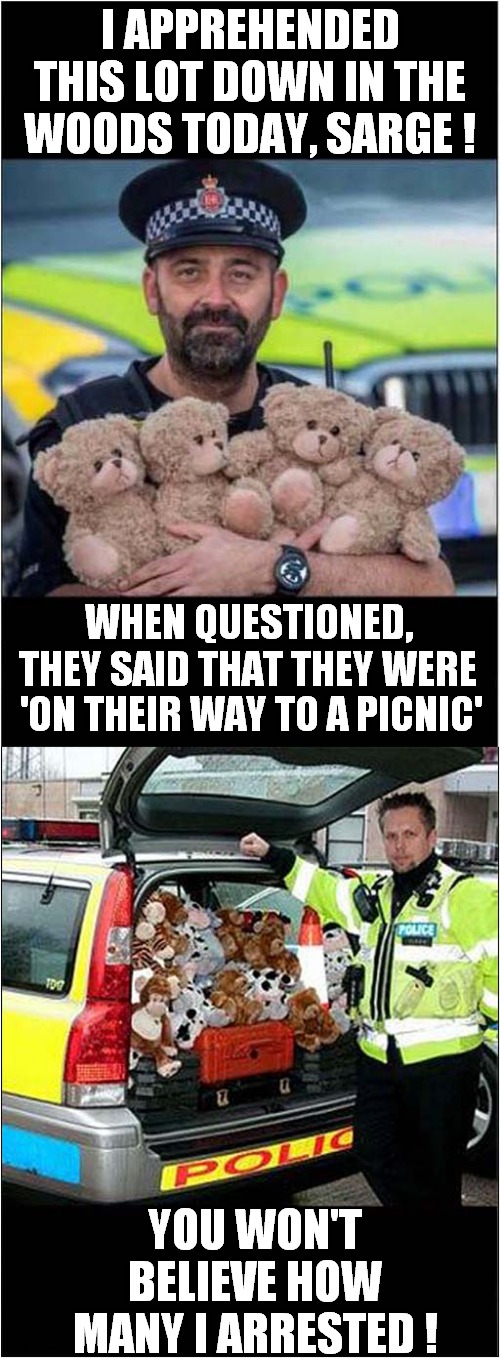 An Illegal Teddy Bears Picnic | I APPREHENDED THIS LOT DOWN IN THE WOODS TODAY, SARGE ! WHEN QUESTIONED, THEY SAID THAT THEY WERE; 'ON THEIR WAY TO A PICNIC'; YOU WON'T BELIEVE HOW MANY I ARRESTED ! | image tagged in fun,teddy bears picnic,self isolation | made w/ Imgflip meme maker