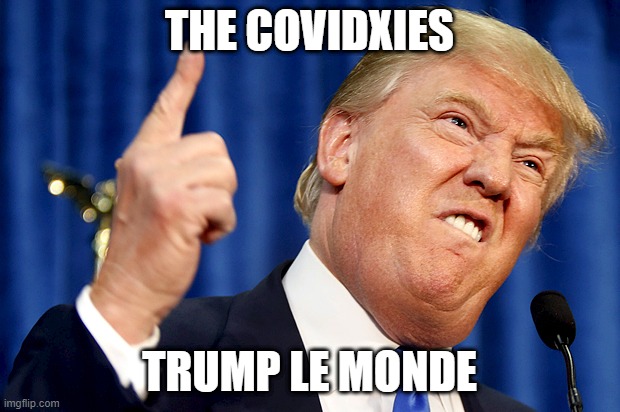 Trump le monde | THE COVIDXIES; TRUMP LE MONDE | image tagged in donald trump | made w/ Imgflip meme maker