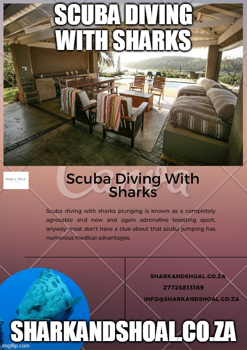 Scuba Diving With Sharks Imgflip