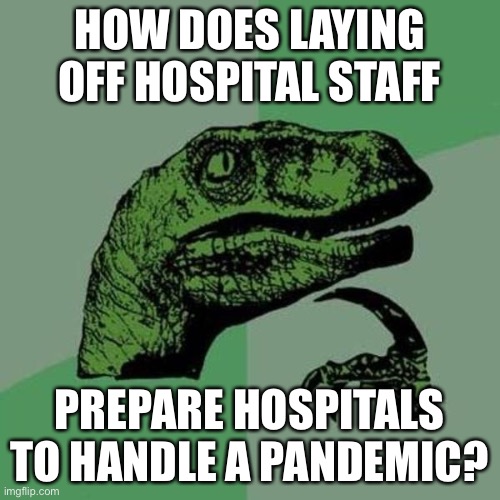 Panicdemic or Planedemic | HOW DOES LAYING OFF HOSPITAL STAFF; PREPARE HOSPITALS TO HANDLE A PANDEMIC? | image tagged in raptor | made w/ Imgflip meme maker
