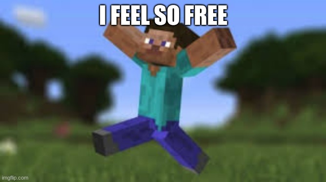 I FEEL SO FREE | image tagged in minecraft | made w/ Imgflip meme maker