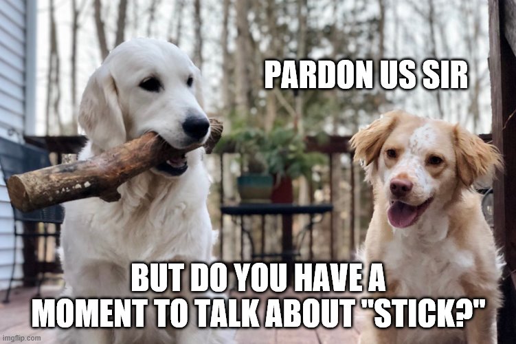 Dogs with Stick | PARDON US SIR; BUT DO YOU HAVE A MOMENT TO TALK ABOUT "STICK?" | image tagged in dogs,stick | made w/ Imgflip meme maker