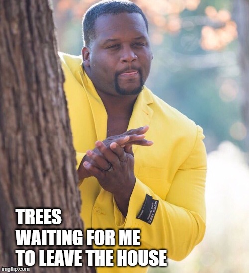 pollen, trees, pollen season, allergies | TREES 
WAITING FOR ME 
TO LEAVE THE HOUSE | image tagged in black guy hiding behind tree | made w/ Imgflip meme maker