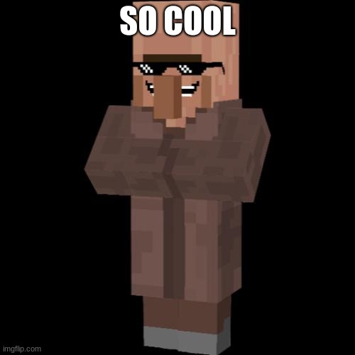 SO COOL | image tagged in minecraft | made w/ Imgflip meme maker