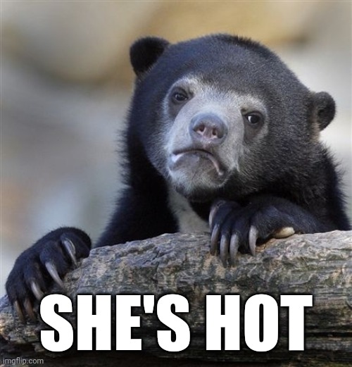Confession Bear Meme | SHE'S HOT | image tagged in memes,confession bear | made w/ Imgflip meme maker