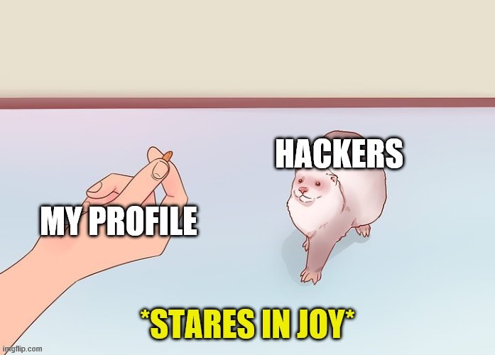the stare of joy | MY PROFILE; HACKERS | image tagged in the stare of joy | made w/ Imgflip meme maker