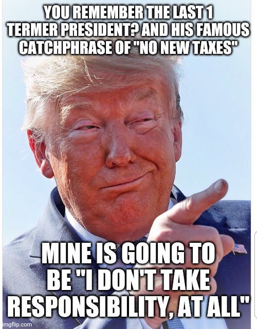 Trump pointing | YOU REMEMBER THE LAST 1 TERMER PRESIDENT? AND HIS FAMOUS CATCHPHRASE OF "NO NEW TAXES"; MINE IS GOING TO BE "I DON'T TAKE RESPONSIBILITY, AT ALL" | image tagged in trump pointing | made w/ Imgflip meme maker