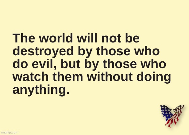 The world will not be destroyed by those who do evil, but by those who watch them without doing anything, | image tagged in world,freedom,evil | made w/ Imgflip meme maker