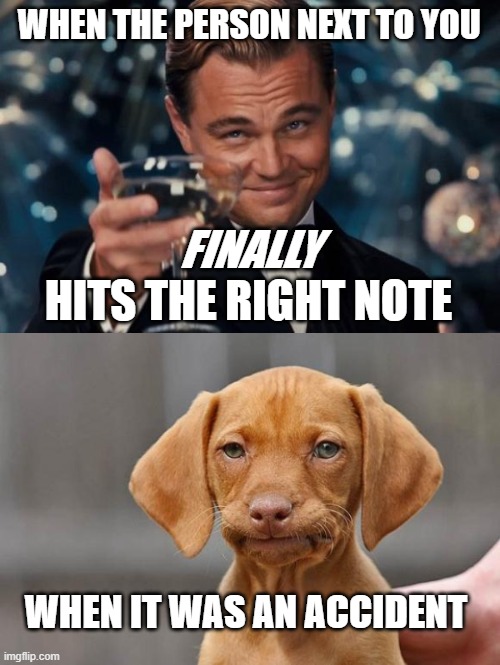 WHEN THE PERSON NEXT TO YOU; FINALLY; HITS THE RIGHT NOTE; WHEN IT WAS AN ACCIDENT | image tagged in memes,leonardo dicaprio cheers,unamused dog | made w/ Imgflip meme maker