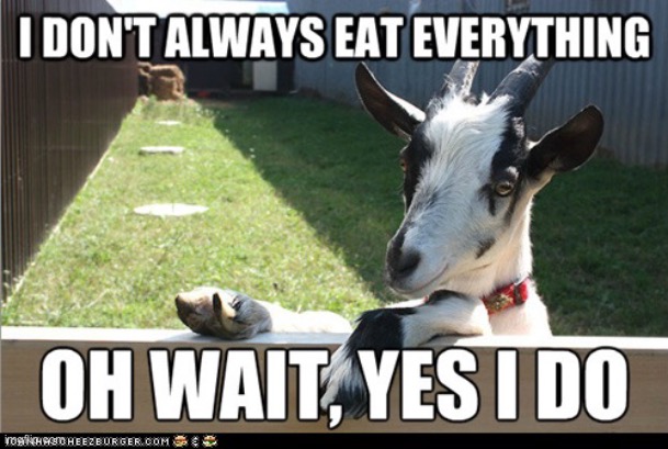 I don’t always eat everything goat | made w/ Imgflip meme maker