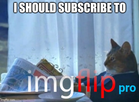 I Should Buy A Boat Cat | I SHOULD SUBSCRIBE TO; pro | image tagged in memes,i should buy a boat cat,imgflip pro | made w/ Imgflip meme maker