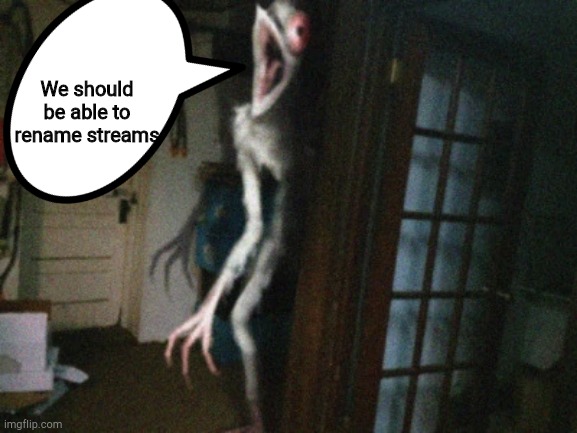 Chicken ghost | We should be able to rename streams | image tagged in chicken ghost | made w/ Imgflip meme maker