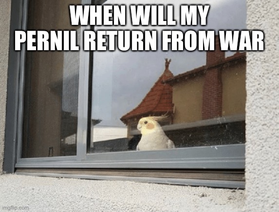 Sometimes you love food like a spouse | WHEN WILL MY PERNIL RETURN FROM WAR | image tagged in pets | made w/ Imgflip meme maker