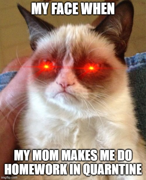 Quarntine homework |  MY FACE WHEN; MY MOM MAKES ME DO HOMEWORK IN QUARNTINE | image tagged in memes,grumpy cat | made w/ Imgflip meme maker
