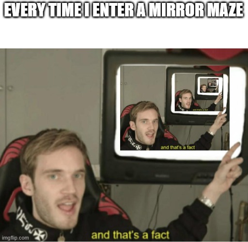 mirror mazes | EVERY TIME I ENTER A MIRROR MAZE | image tagged in and that's a fact infinite | made w/ Imgflip meme maker