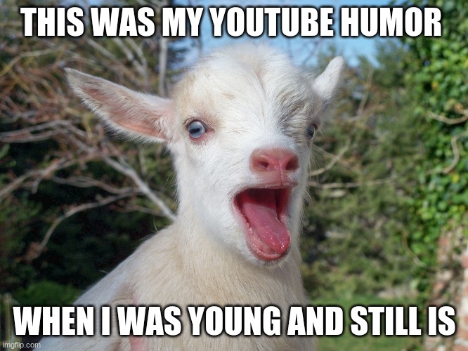 Goat Screams | THIS WAS MY YOUTUBE HUMOR; WHEN I WAS YOUNG AND STILL IS | image tagged in goat screams | made w/ Imgflip meme maker