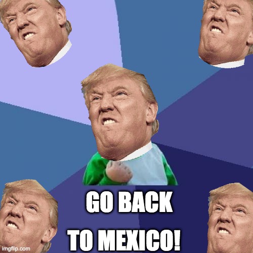 Success Kid Meme | GO BACK; TO MEXICO! | image tagged in memes,success kid | made w/ Imgflip meme maker