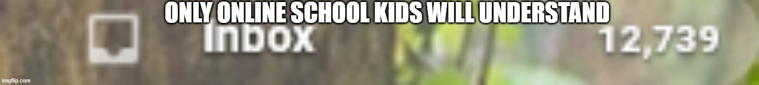 inbox_overflow | ONLY ONLINE SCHOOL KIDS WILL UNDERSTAND | image tagged in inboxoverflow | made w/ Imgflip meme maker