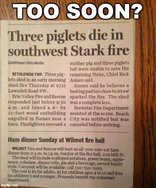 Can't let it go to waste. | TOO SOON? | image tagged in pork,pigs,newspaper,headlines | made w/ Imgflip meme maker