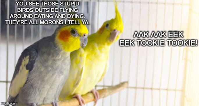 Some of ya'll right now | YOU SEE THOSE STUPID BIRDS OUTSIDE FLYING AROUND EATING AND DYING. THEY'RE ALL MORONS I TELL YA. AAK AAK EEK EEK TOOKIE TOOKIE! | image tagged in coronavirus,funny,funny memes,politics,political meme | made w/ Imgflip meme maker