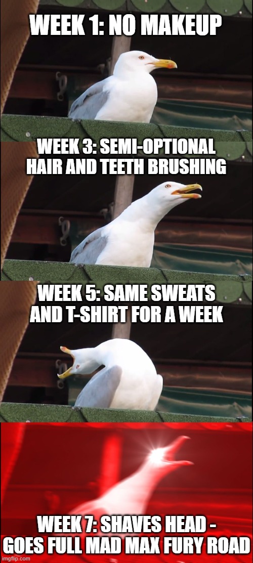 Covid Unraveling Personal Hygiene | WEEK 1: NO MAKEUP; WEEK 3: SEMI-OPTIONAL HAIR AND TEETH BRUSHING; WEEK 5: SAME SWEATS AND T-SHIRT FOR A WEEK; WEEK 7: SHAVES HEAD - GOES FULL MAD MAX FURY ROAD | image tagged in memes,inhaling seagull | made w/ Imgflip meme maker