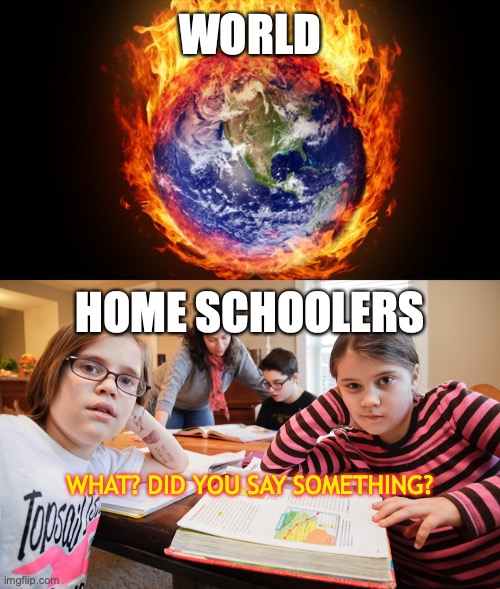 oh yeah, apparently something about "social distancing"? | WORLD WHAT? DID YOU SAY SOMETHING? HOME SCHOOLERS | image tagged in quaratine,home schoolers | made w/ Imgflip meme maker